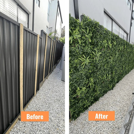 Before and after of a side fence covered with artificial hedge panels.
