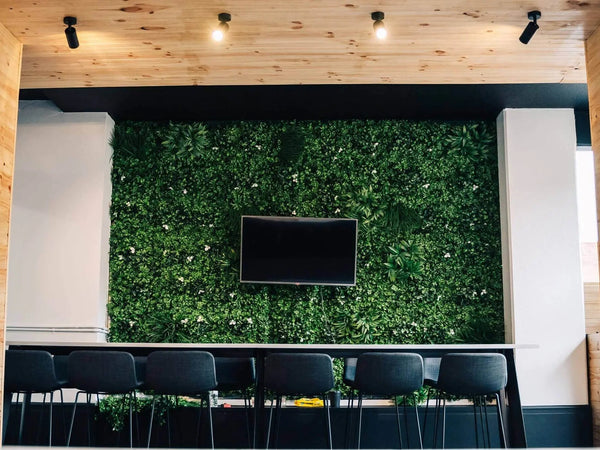 Artificial green wall framed in timber with a wall-mounted screen above a bench of black chairs