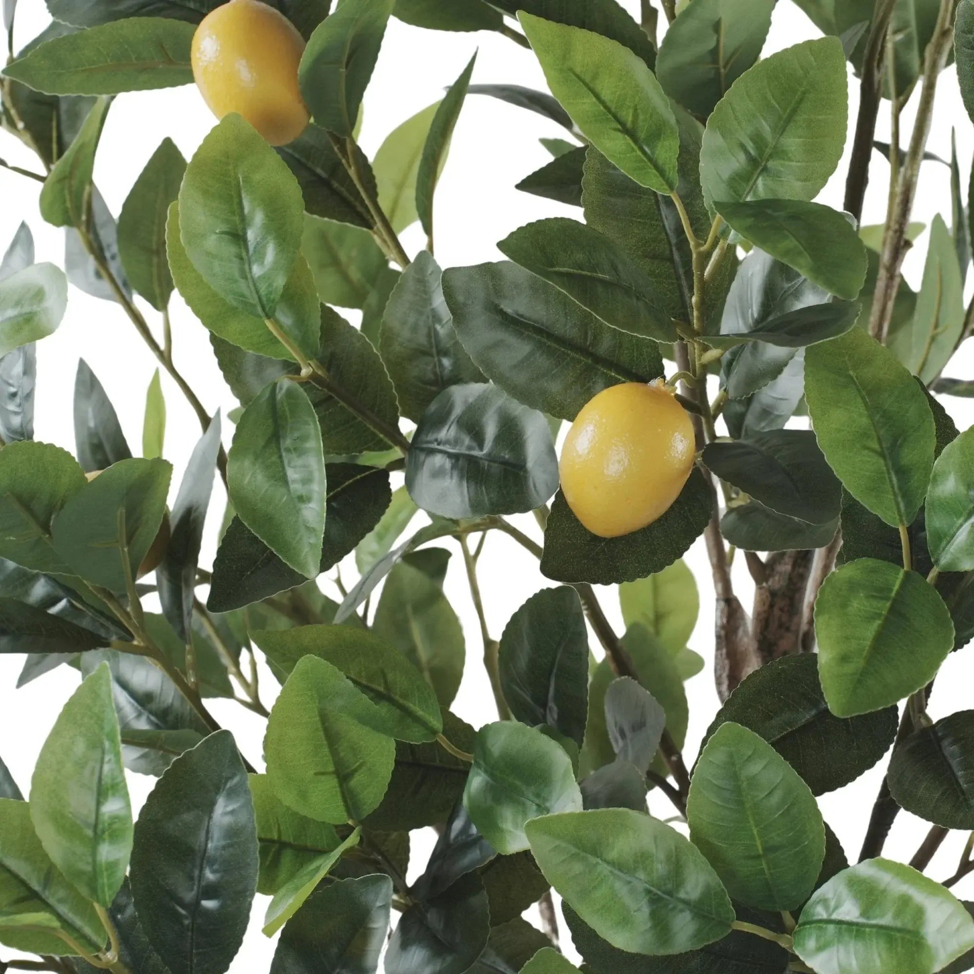 Premium Artificial Lemon Tree 63.0in 