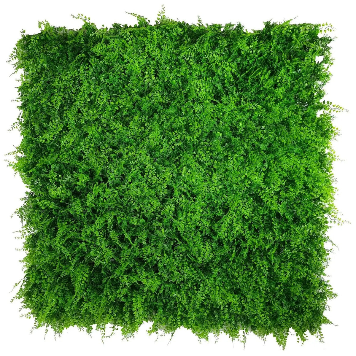 Lush Fern Artificial Green Wall 40" x 40" 11SQ FT Commercial Grade UV Resistant 