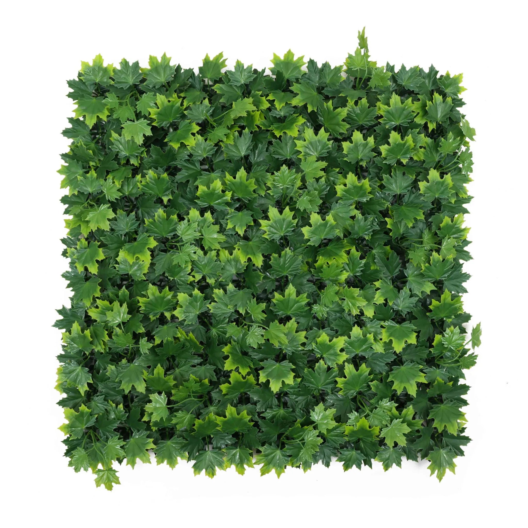 Artificial Maple Hedge Panel 40" x 40" 11SQ FT Commercial Grade UV Resistant