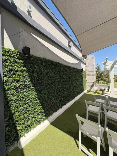 Outdoor patio area with greenery, chairs, and a clear sky.