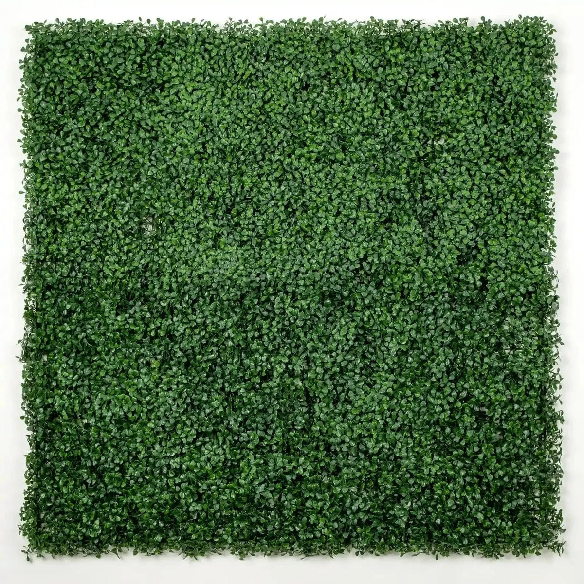 Dark Artificial Boxwood Wall (6 Pieces 40" x 40") 66 SQ FT Set Commercial Grade UV Resistant (EXCESS STOCK PRICE) 