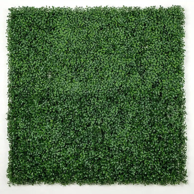 Dark Artificial Boxwood Wall (6 Pieces 40" x 40") 66 SQ FT Set Commercial Grade UV Resistant (EXCESS STOCK PRICE) 
