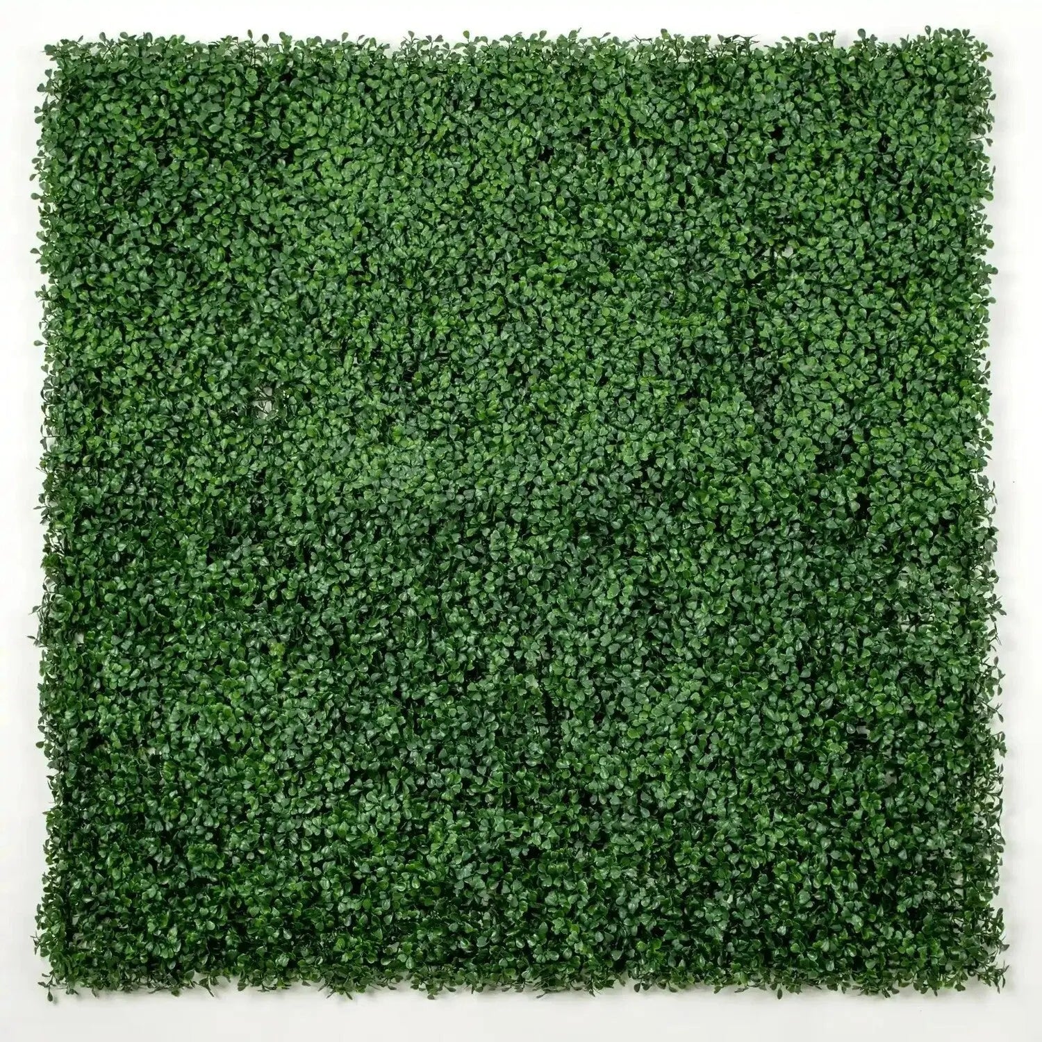 Sample Panel of Premium Dark Artificial Boxwood Wall (Small Sample) Commercial Grade UV Resistant 