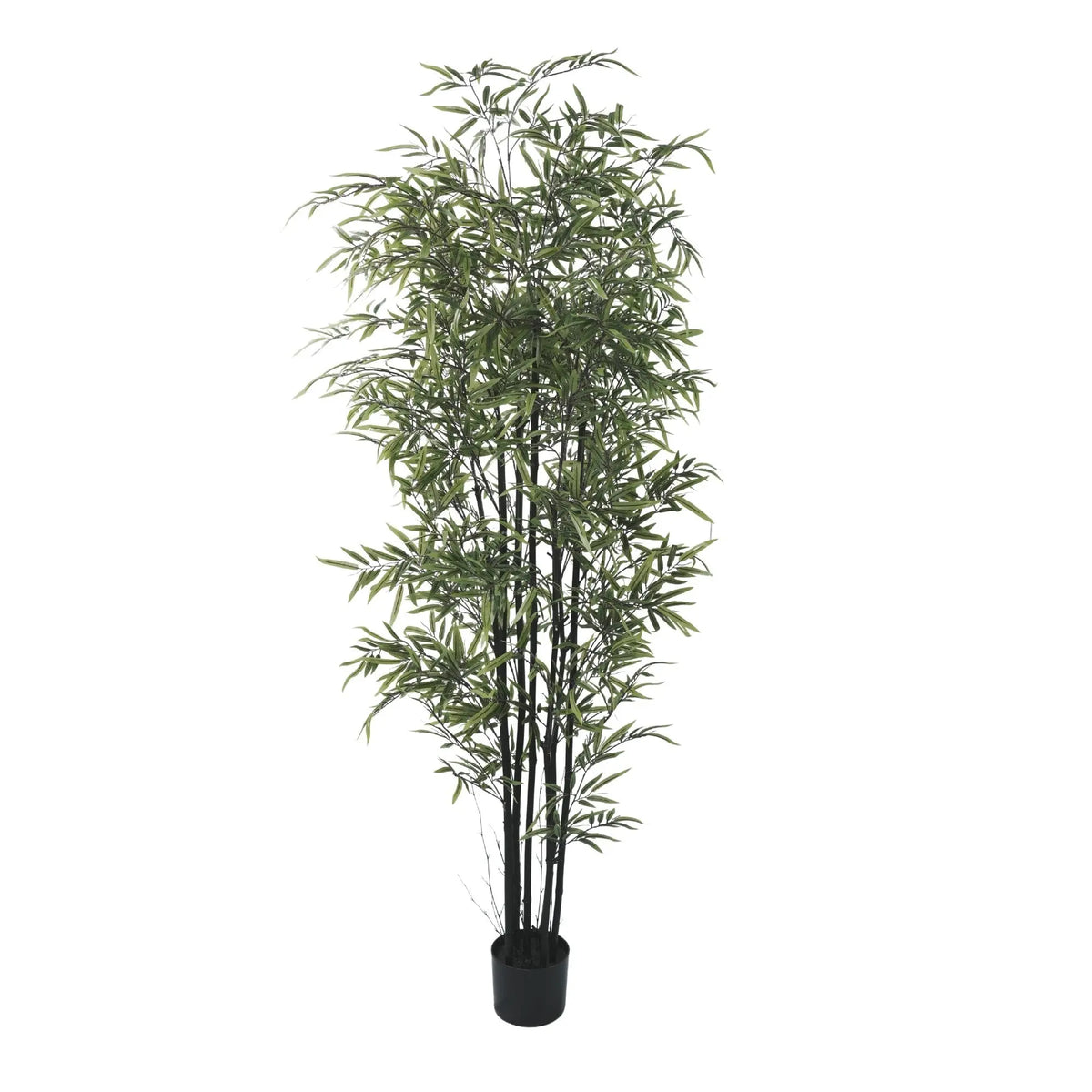 Premium Dense Artificial Black Bamboo 70.9in 