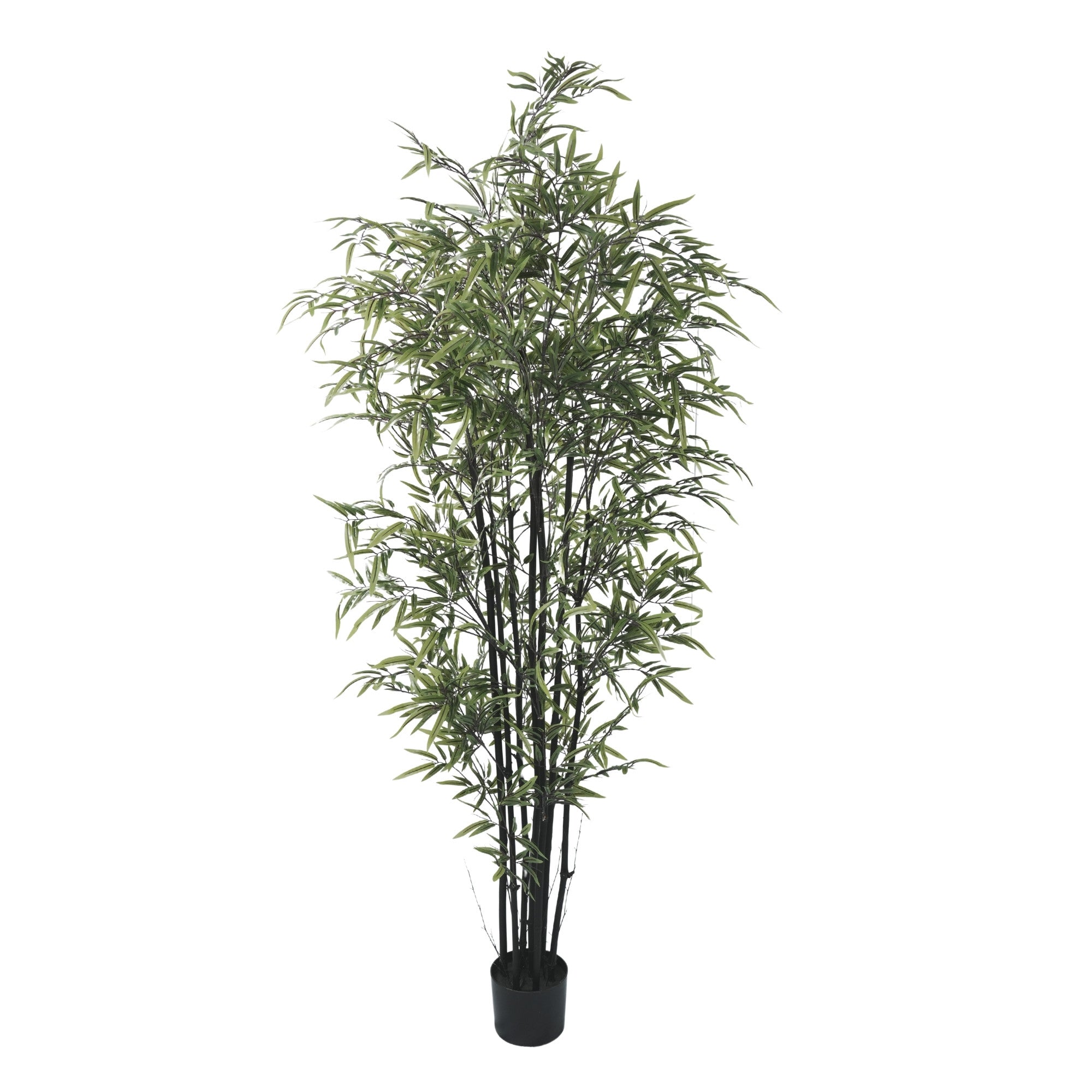 Premium Dense Artificial Black Bamboo 70.9in